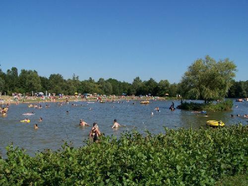 Studio Au Bord De L'Etang Laives Kültér fotó